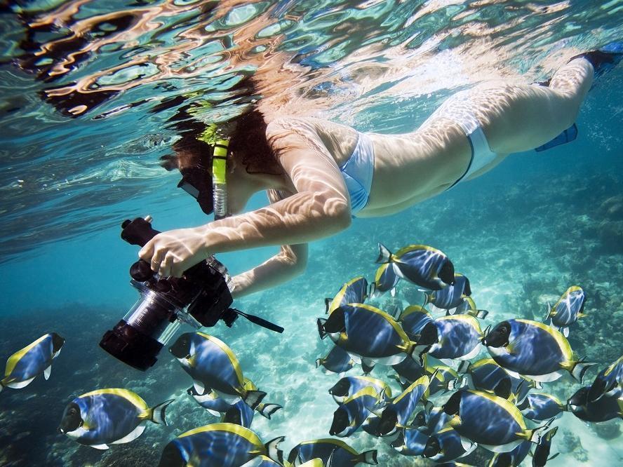 Naqalia Lodge Wayasewa Island Экстерьер фото